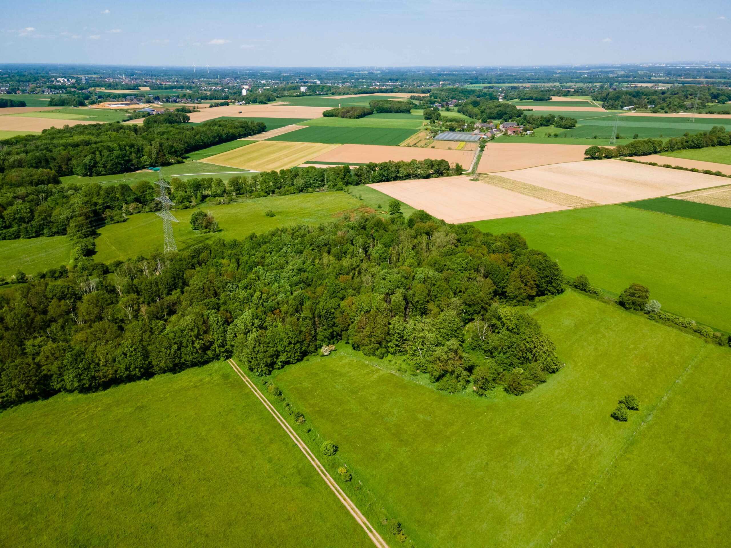 Lands & Lots